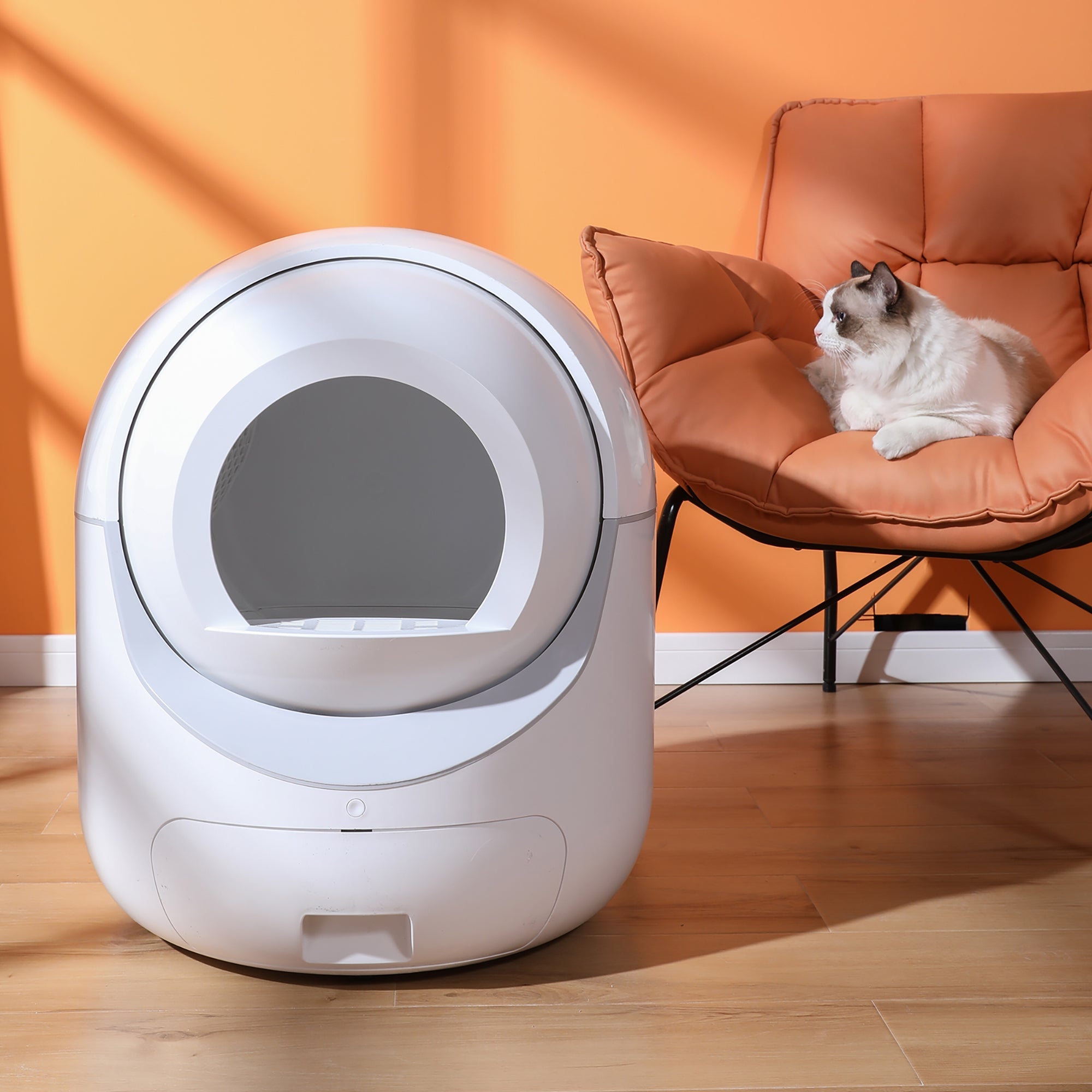 Litières Automatiques pour Chat