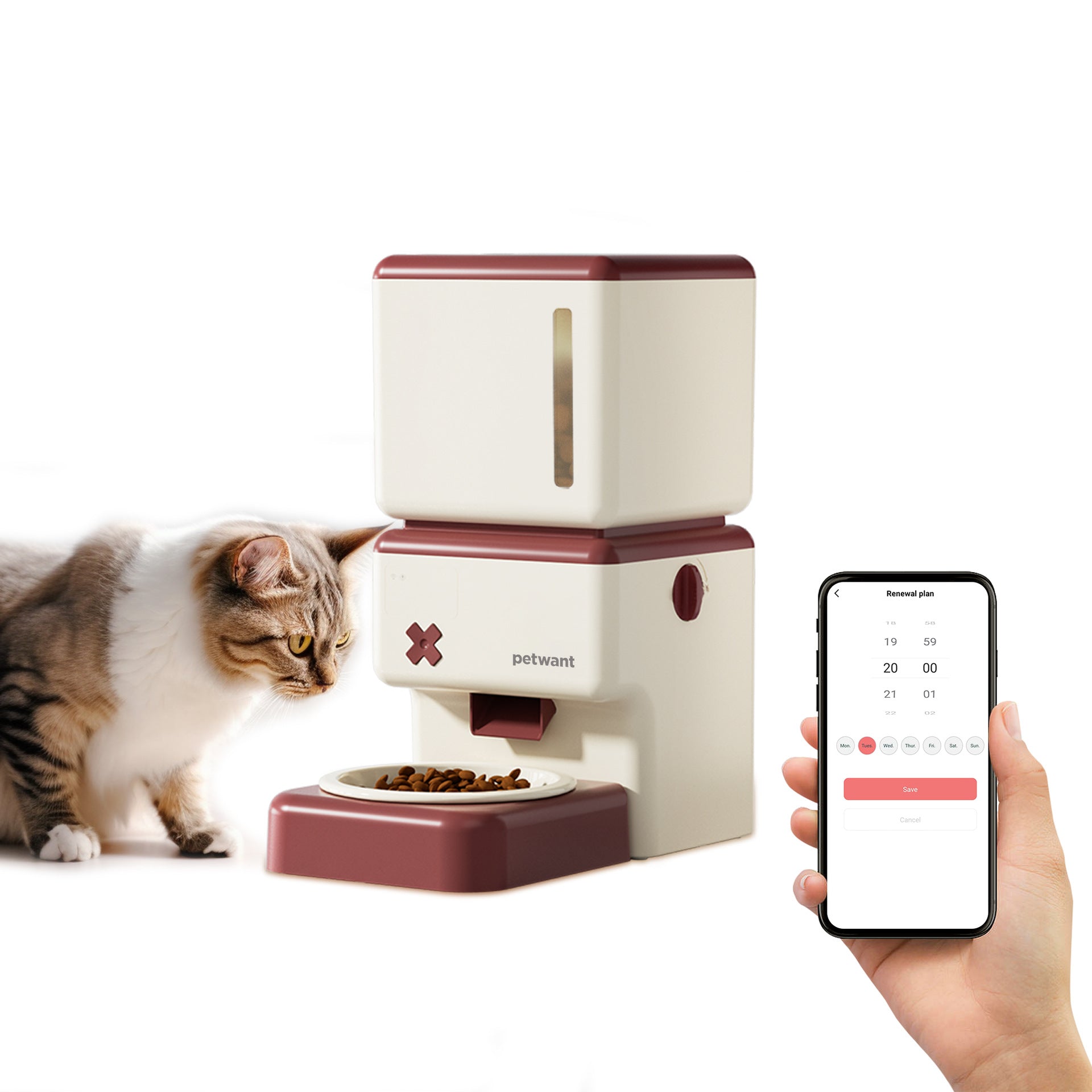 Rocket SmartFeed Mini — Distributeur Automatique de Croquettes 3,5L (WiFi)