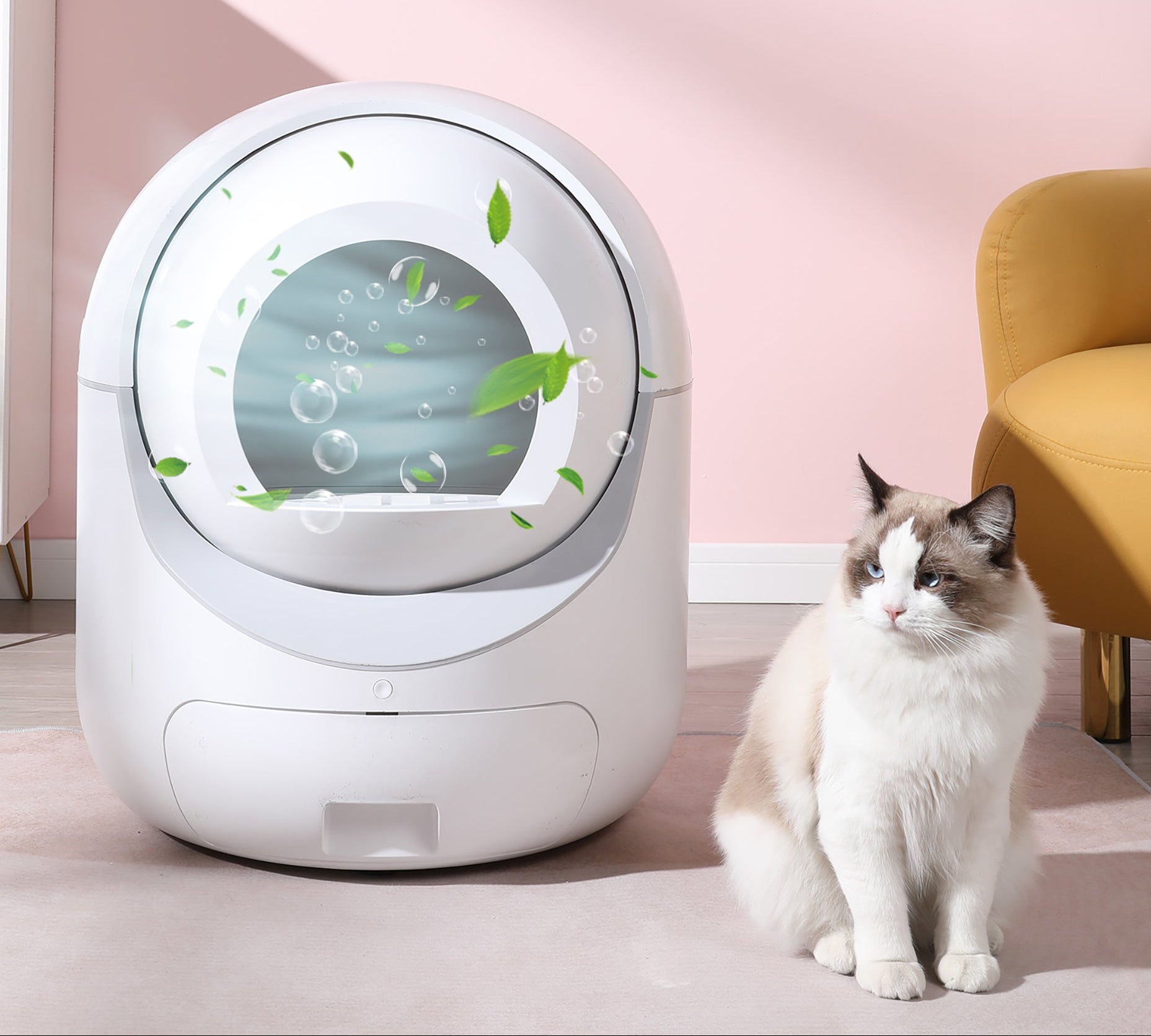 Rocket SmartLitter — Litière Automatique Connectée WiFi pour Chat